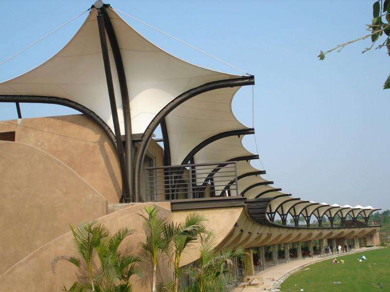 timg (1).jpg timg (1).jpg