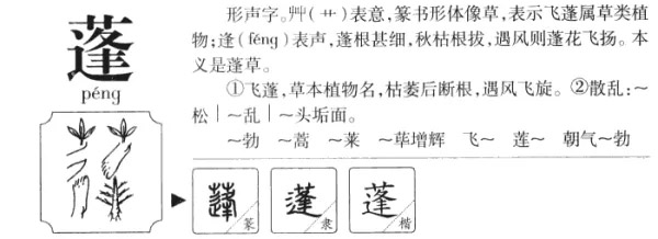 640.webp.jpg 640.webp.jpg