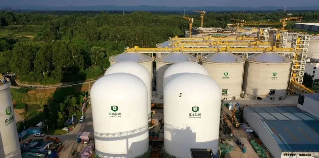 我國首批糧食【氣膜倉】正式投運 我國首批糧食【氣膜倉】正式投運