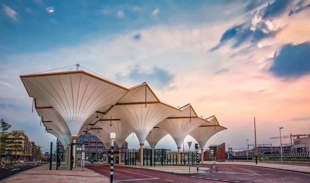 “棚”和“篷”，怎么區(qū)分？