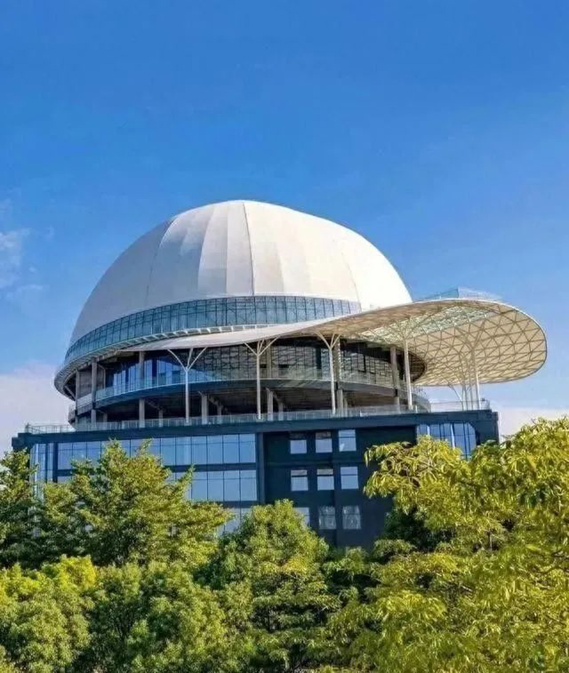 奇葩，好大一頂帽子